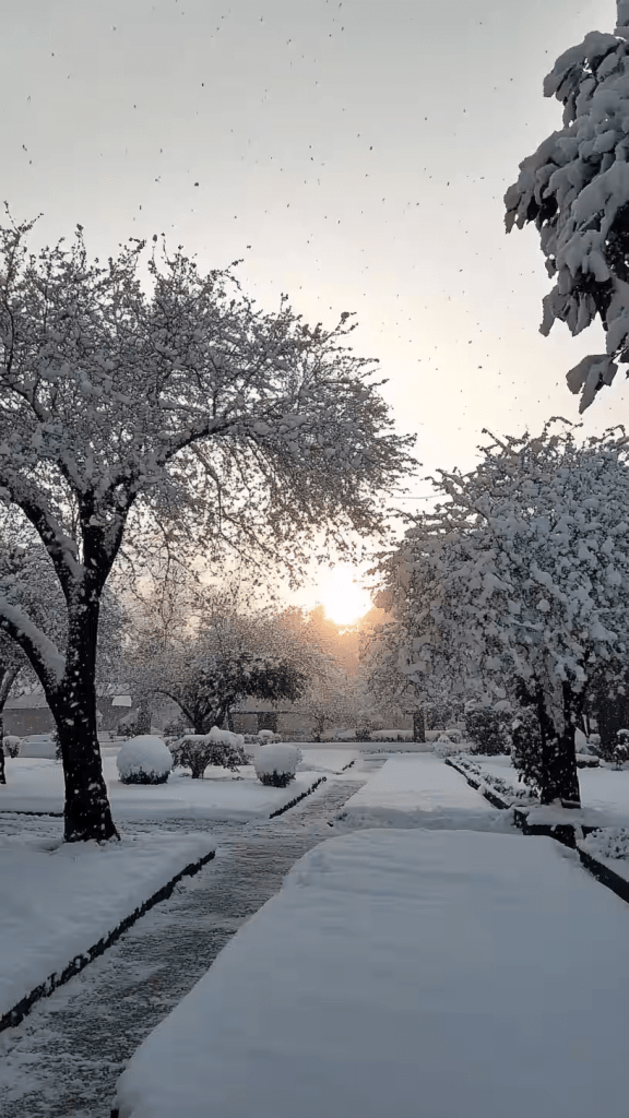 Ground frost in Lambasingi during December 2025 cold wave.