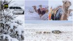 Desert Miracle or AI? Rare Snowfall Blankets Saudi Arabia; Riyadh and Tabuk Witness Historic Cold Wave