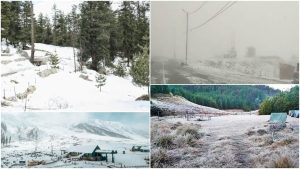 Does it Snow in South India? Two Places to Witness Snowy Landscapes Like Himalayas During Winter