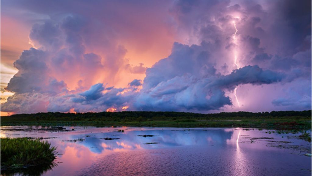 Maharashtra weather forecast