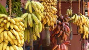 Banana Capital of India