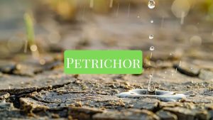 Petrichor