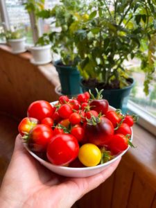 How to grow your own food in balconies