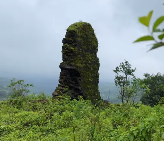 A unique landscape photograph capturing a tall, rugged natural stone pillar standing vertically in a sea of green shrubbery on a hilltop. The pillar, covered in patches of green moss, stands against a hazy, mist-covered mountain backdrop and a gray, overcast sky. The image highlights the distinctive geological features of the remote Phopsandi region.