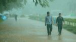 Heavy Rains to Return Across Maharashtra From July 30; Jalgaon on Red Alert, Several Districts Under Orange Alert