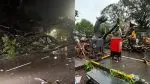 Pune Traffic Alert: Jungli Maharaj (JM) Road Closed As Large Tree Falls Across