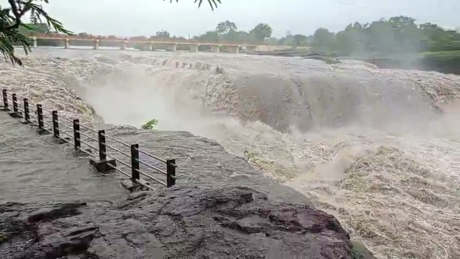 Nashik's Someshwar Waterfall Flows Furiously