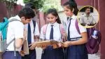 Pune: No Holiday for Schools Tomorrow; Only Some Schools to Remain Closed – District Collector