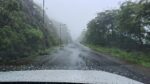 Pune Ghat Areas to Continue Receiving Heavy to Extremely Heavy Rain as IMD Extends Red Alert Till July 24