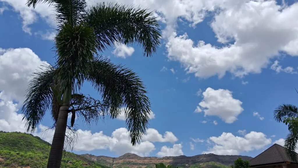 Will it rain tomorrow or this week in Maharashtra
