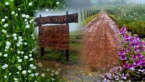 Kaas Plateau Flower Season 2026