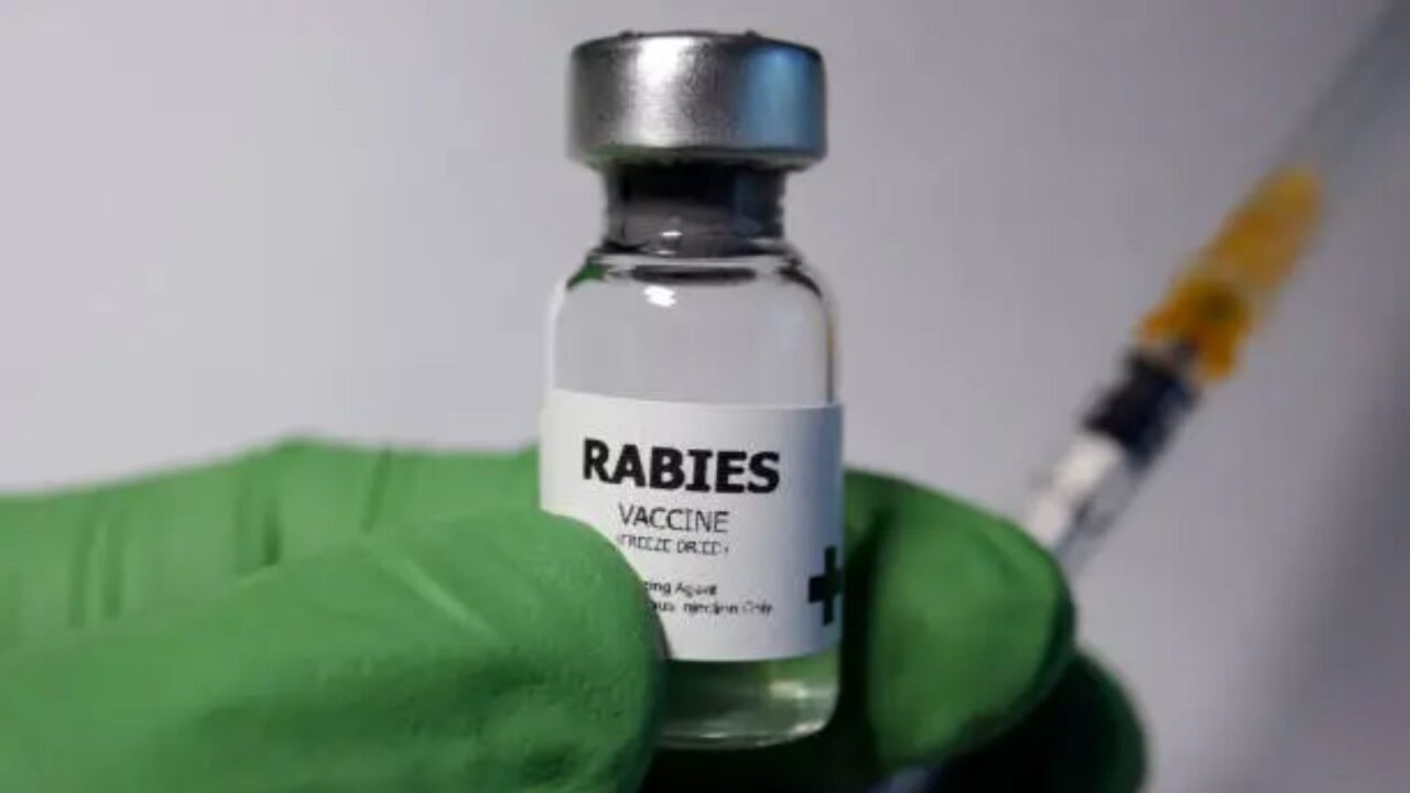World Rabies Day 2026