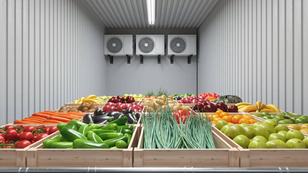 FSSAI rules for perishable food storage and transportation