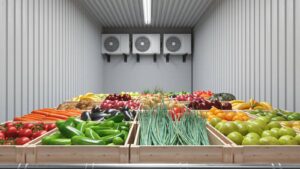 FSSAI rules for perishable food storage and transportation