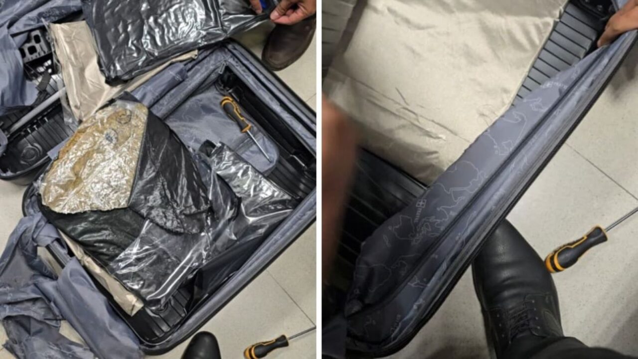 Hydroponic weed seized at Pune Airport