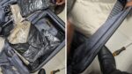 Pune Customs Seizes Hydroponic Weed Worth ₹44.27 Lakh at Pune Airport, Passenger Arrested