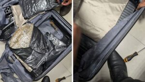 Hydroponic weed seized at Pune Airport